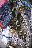 muddy front wheel