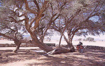 Namibia - mit Fahrrad in Sesriem