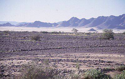 Geröll der Namib Wüste